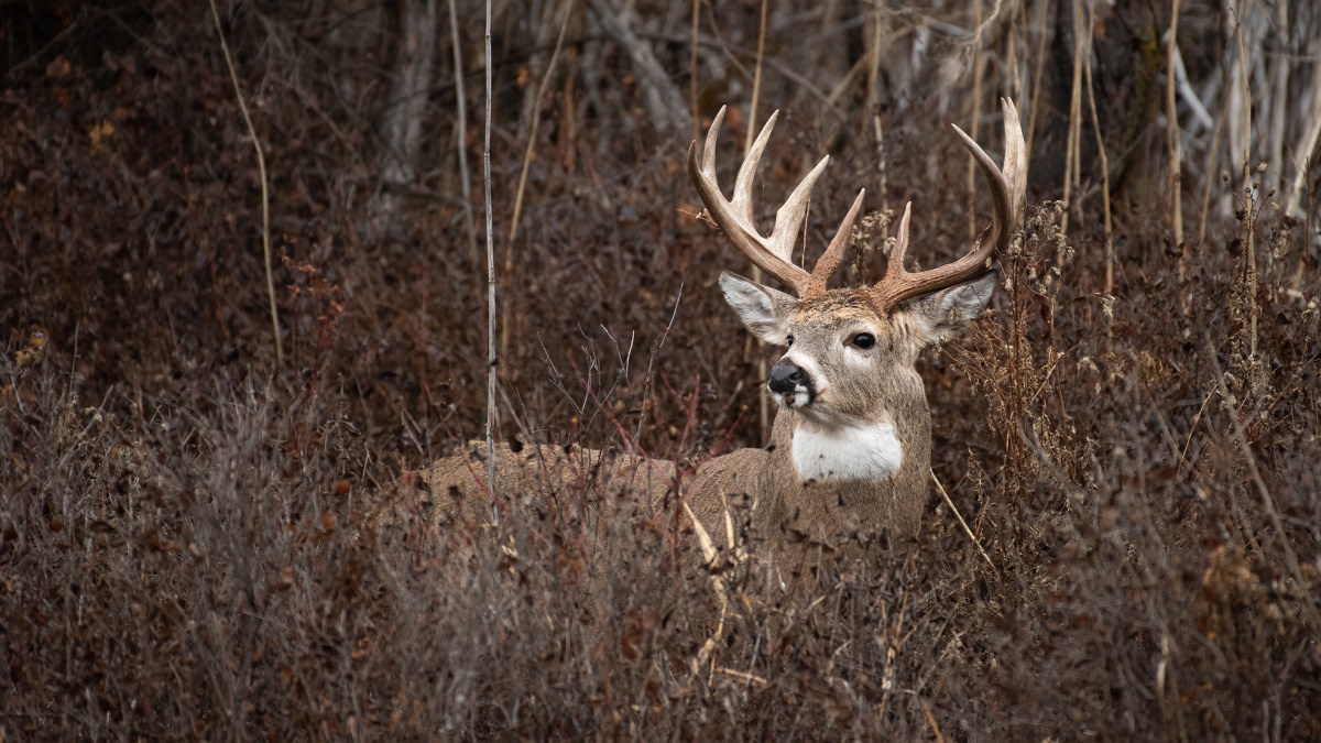 public land mistakes